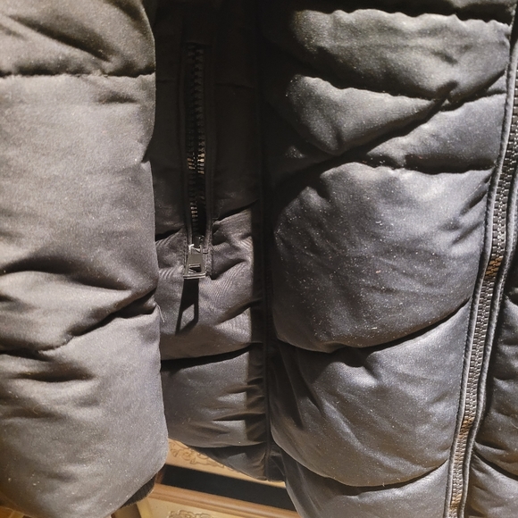 Jacket - Picture 8 of 16